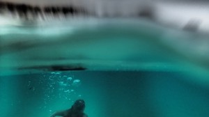 10998354124_2b2f05aed8_b